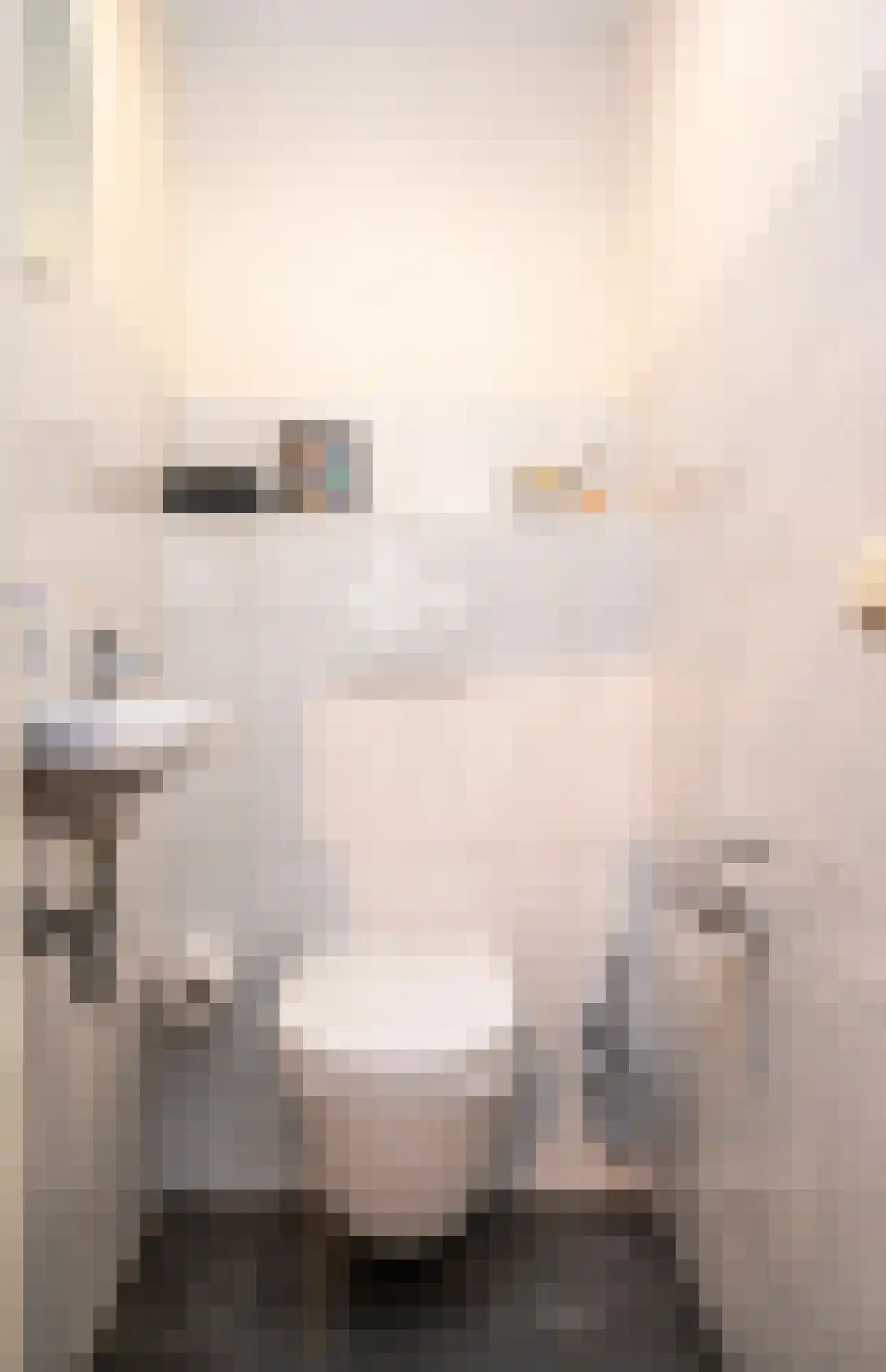 Saltshof 3036 Wijchen thumbnail 15