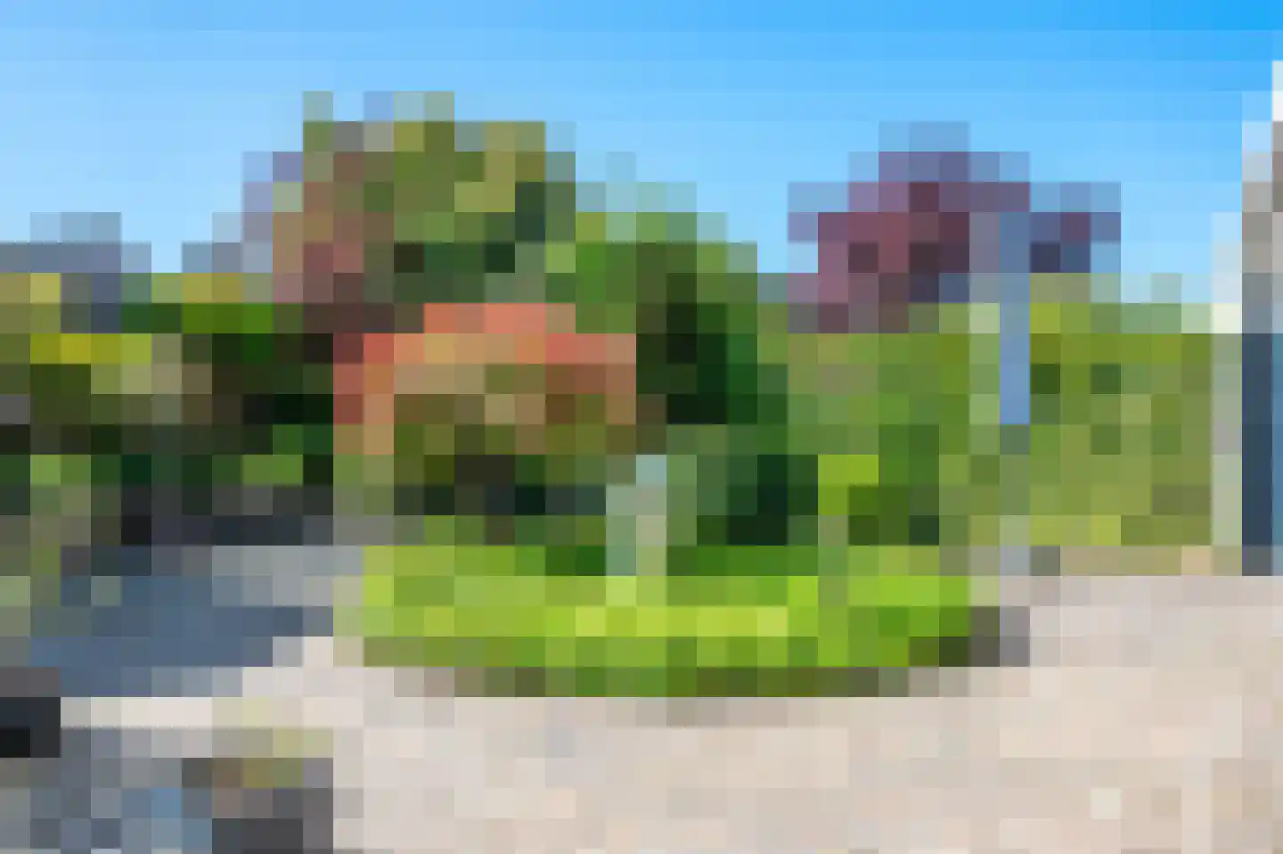 Saltshof 3036 Wijchen thumbnail 38