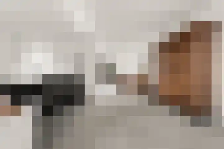 Saltshof 3048 Wijchen thumbnail 10
