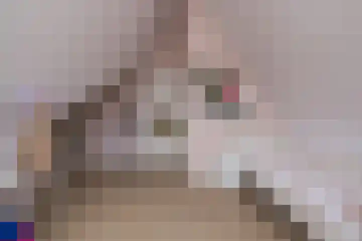 Saltshof 3048 Wijchen thumbnail 11