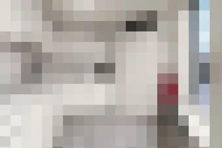 Saltshof 3048 Wijchen thumbnail 12