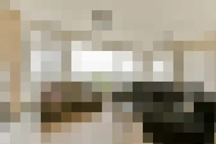 Saltshof 3048 Wijchen thumbnail 13