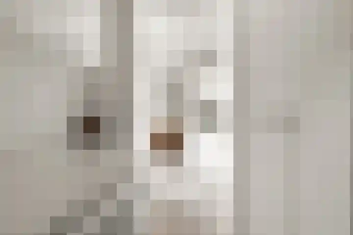 Saltshof 3048 Wijchen thumbnail 16