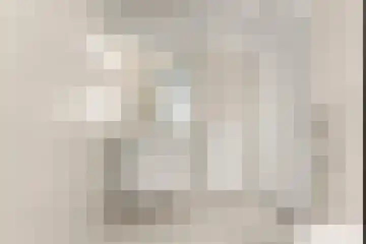 Saltshof 3048 Wijchen thumbnail 25