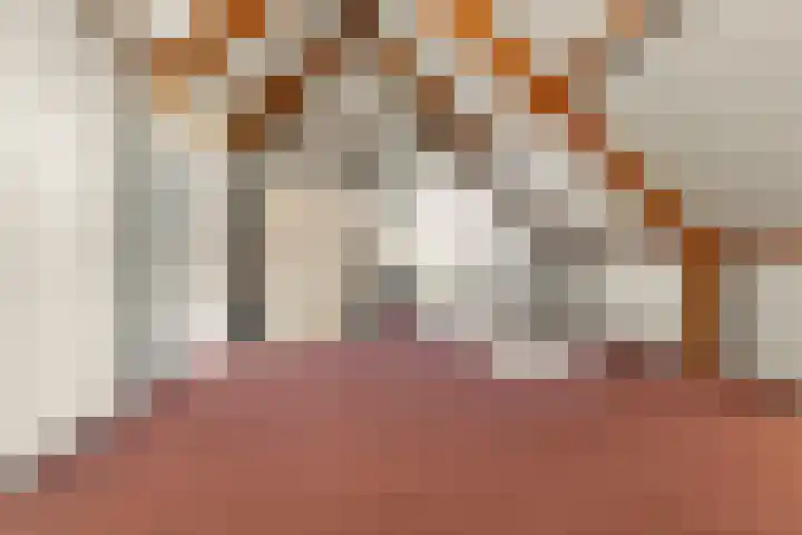 Saltshof 3048 Wijchen thumbnail 29