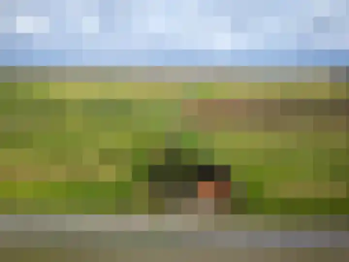 Saltshof 3048 Wijchen thumbnail 39