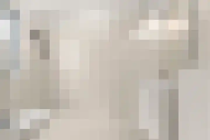 Saltshof 3048 Wijchen thumbnail 4