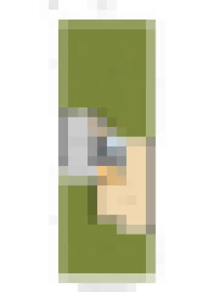 Saltshof 3048 Wijchen thumbnail 41