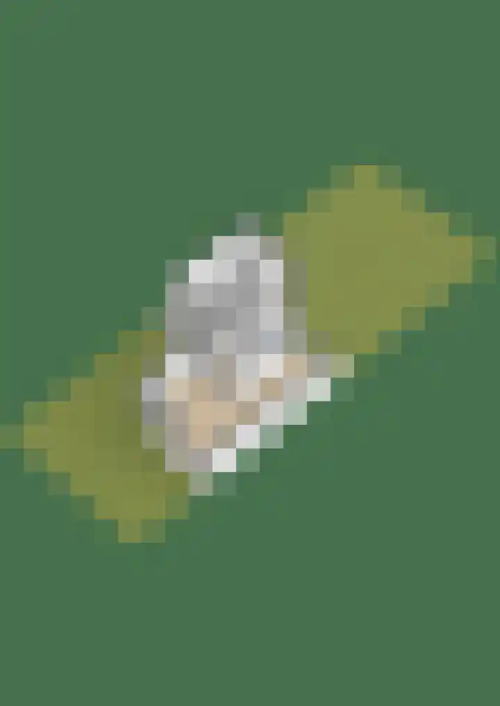 Saltshof 3048 Wijchen thumbnail 42