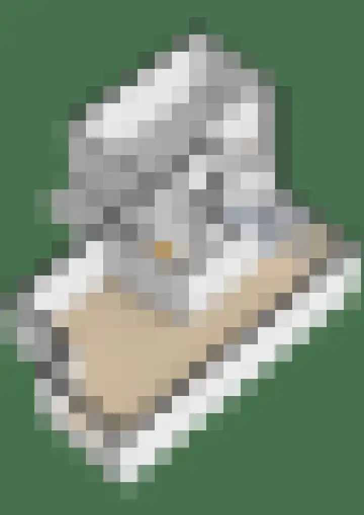 Saltshof 3048 Wijchen thumbnail 44