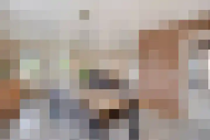 Saltshof 3214 Wijchen thumbnail 12