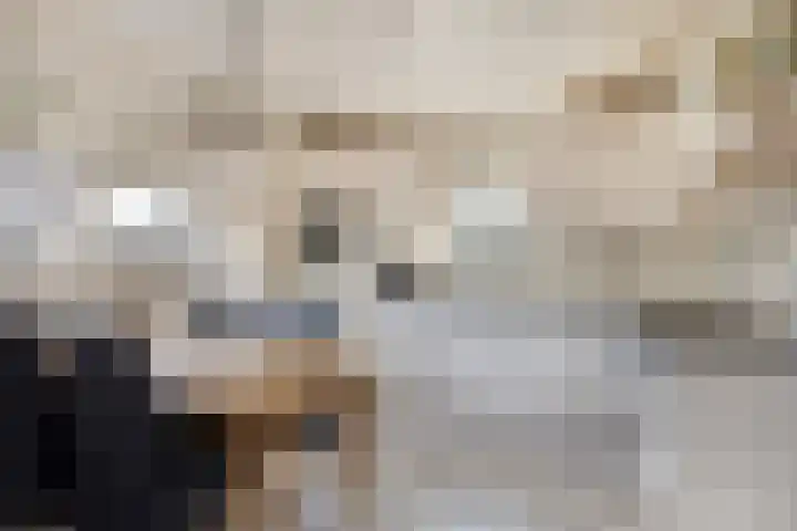 Saltshof 3214 Wijchen thumbnail 14