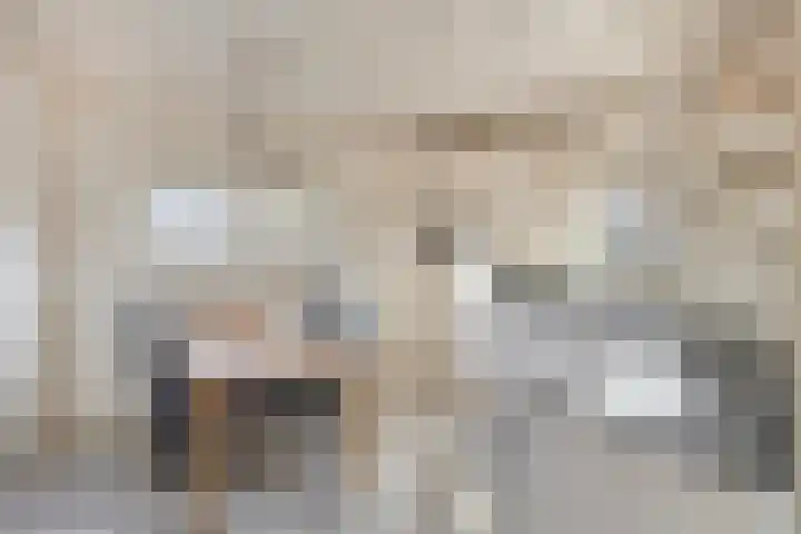 Saltshof 3214 Wijchen thumbnail 15