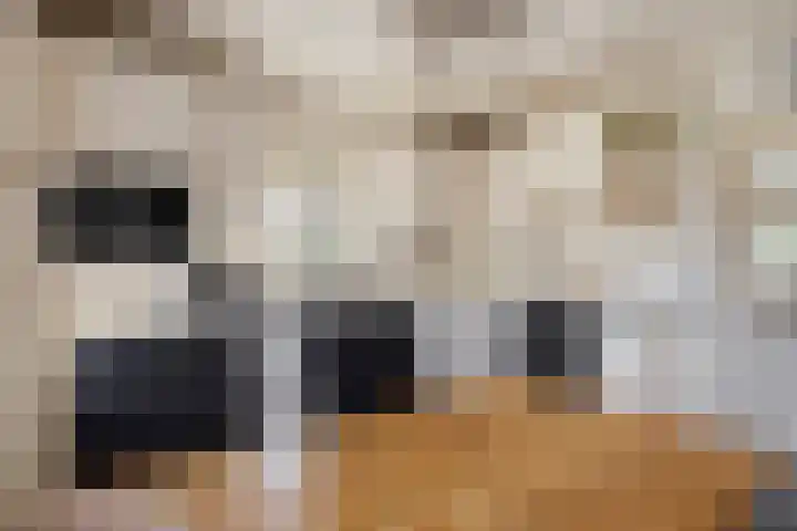 Saltshof 3214 Wijchen thumbnail 16
