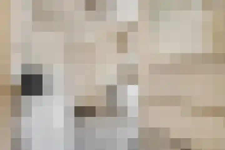 Saltshof 3214 Wijchen thumbnail 17