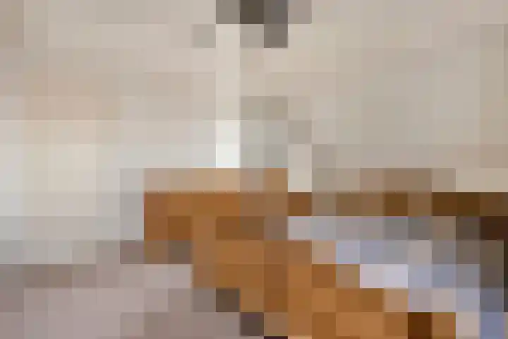 Saltshof 3214 Wijchen thumbnail 21