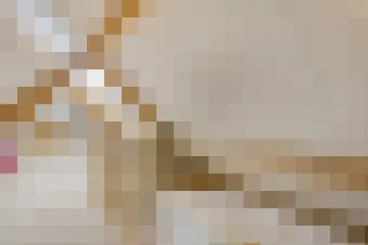 Saltshof 3214 Wijchen thumbnail 27