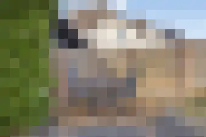 Saltshof 3214 Wijchen thumbnail 33