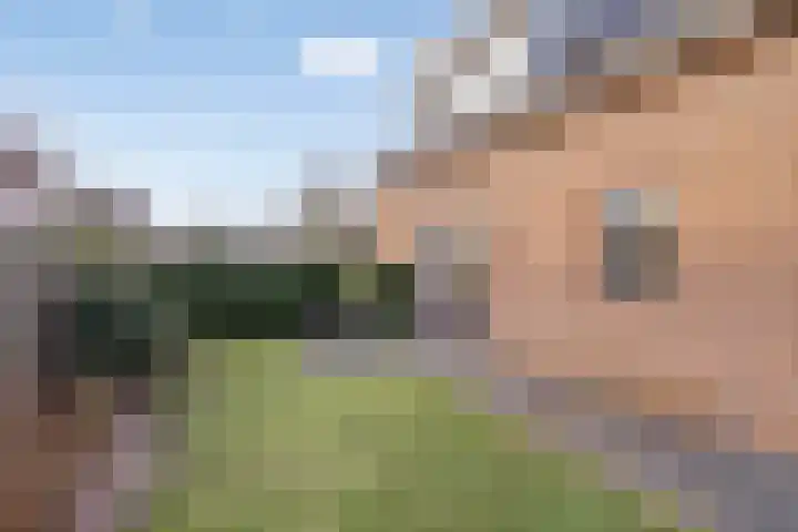 Saltshof 3214 Wijchen thumbnail 35