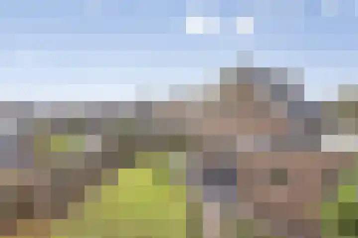 Saltshof 3214 Wijchen thumbnail 37