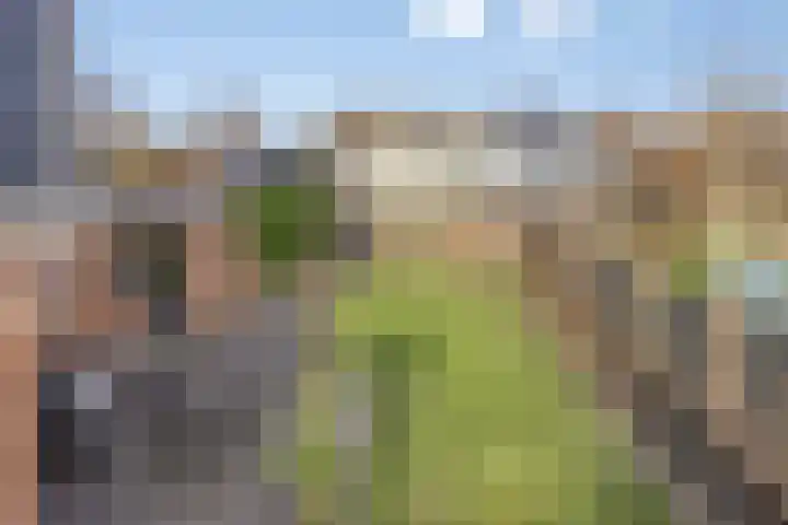 Saltshof 3214 Wijchen thumbnail 38