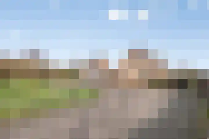 Saltshof 3214 Wijchen thumbnail 39