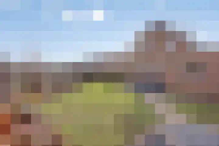 Saltshof 3214 Wijchen thumbnail 4