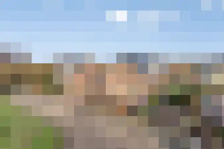 Saltshof 3214 Wijchen thumbnail 40