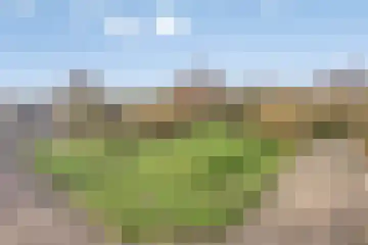 Saltshof 3214 Wijchen thumbnail 41