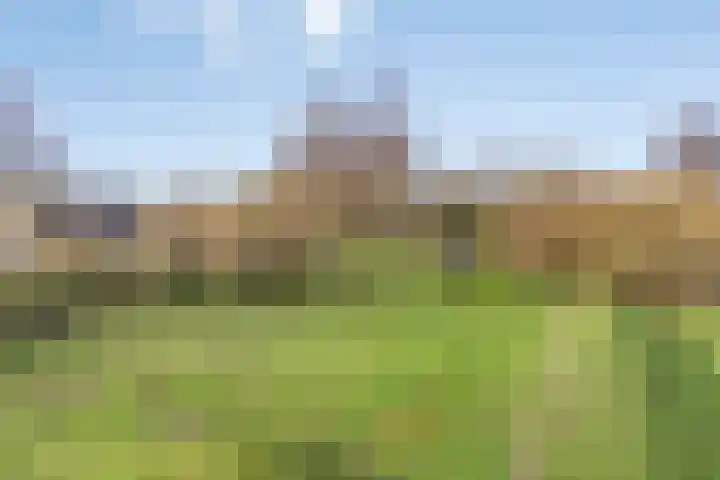 Saltshof 3214 Wijchen thumbnail 42