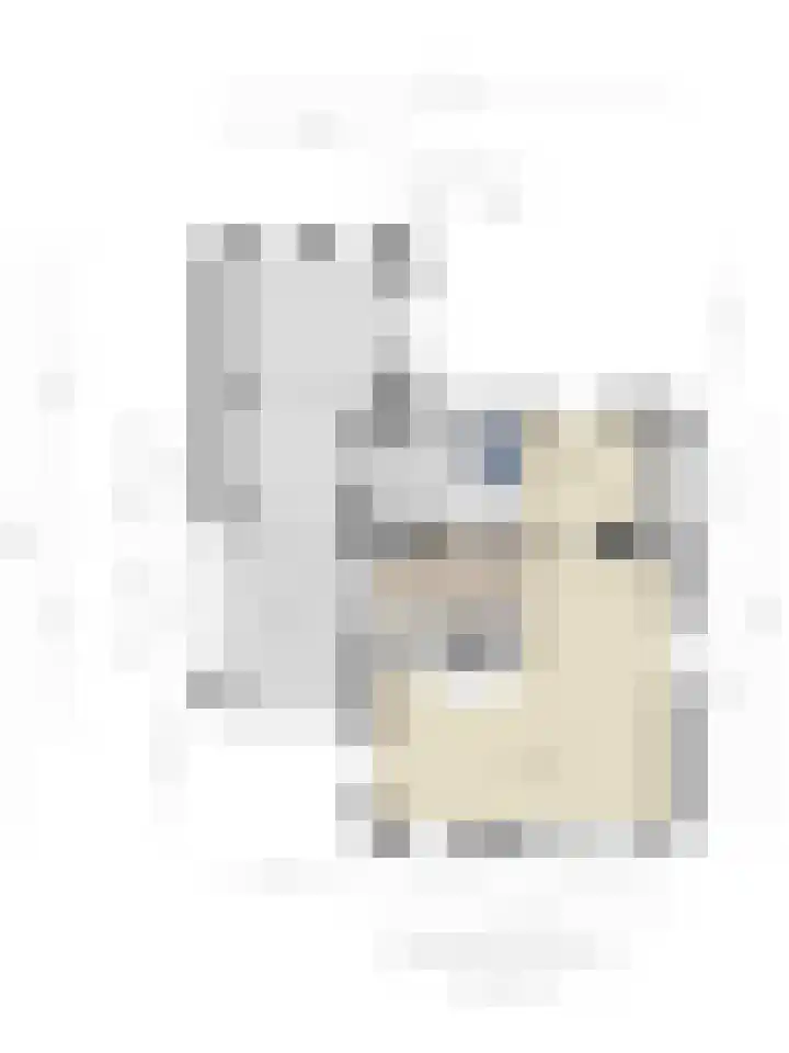 Saltshof 3214 Wijchen thumbnail 43
