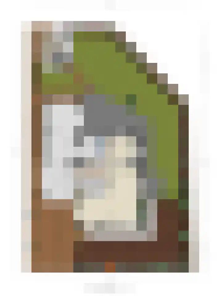 Saltshof 3214 Wijchen thumbnail 46