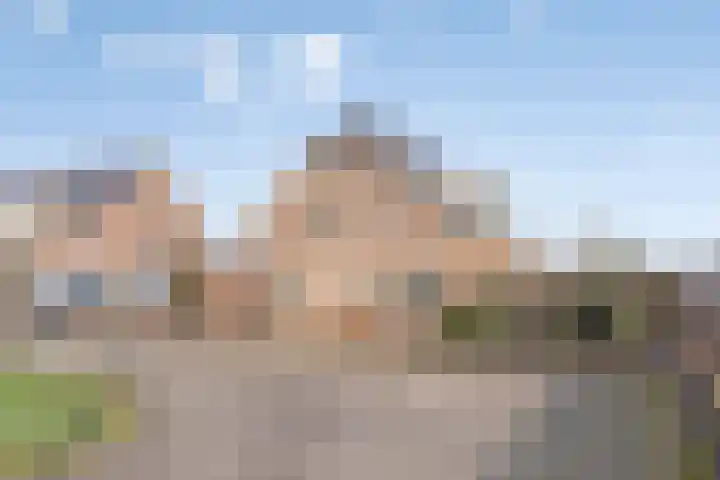 Saltshof 3214 Wijchen thumbnail 5