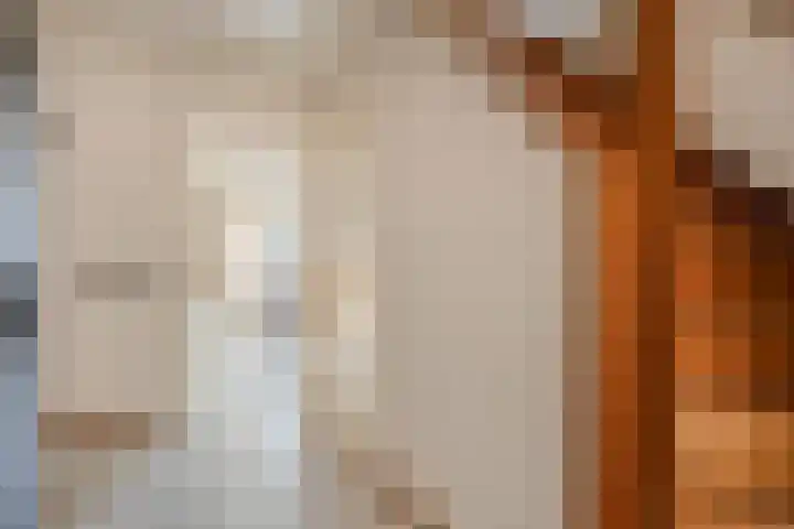 Saltshof 3214 Wijchen thumbnail 7