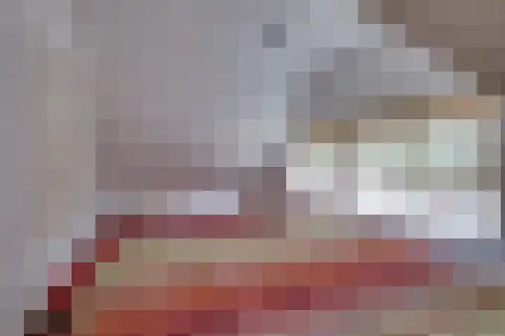 Saltshof 3252 Wijchen thumbnail 10