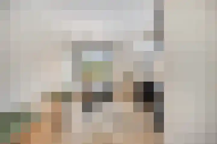 Saltshof 3252 Wijchen thumbnail 11