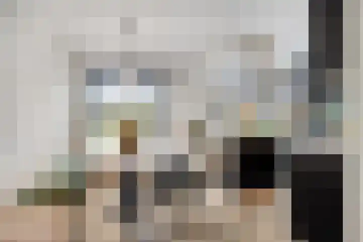 Saltshof 3252 Wijchen thumbnail 12