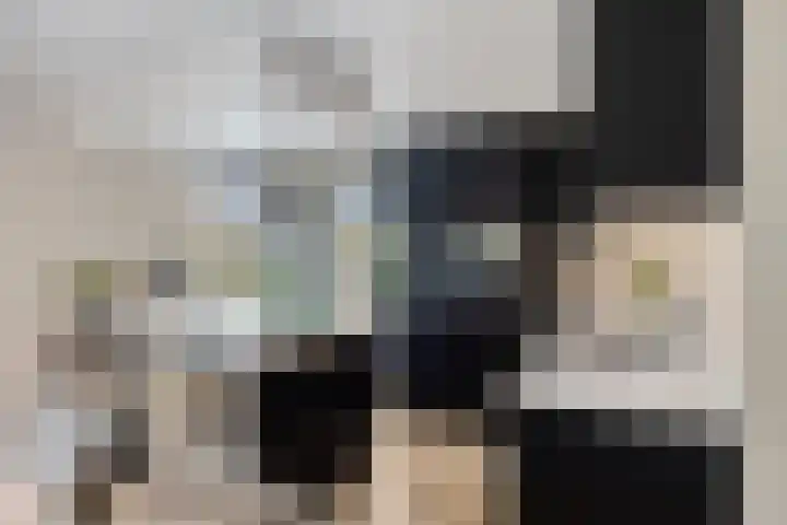 Saltshof 3252 Wijchen thumbnail 13