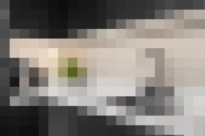 Saltshof 3252 Wijchen thumbnail 14