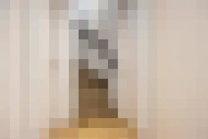 Saltshof 3252 Wijchen thumbnail 24