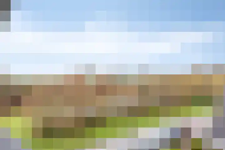Saltshof 3252 Wijchen thumbnail 29