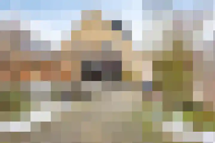 Saltshof 3252 Wijchen thumbnail 30