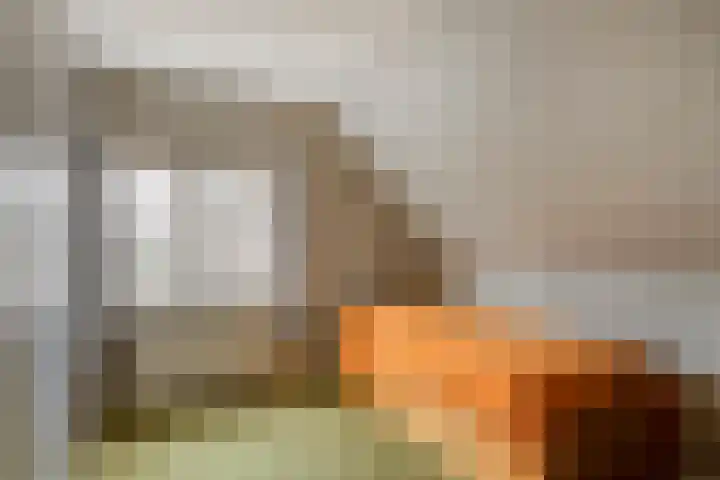 Saltshof 3252 Wijchen thumbnail 31