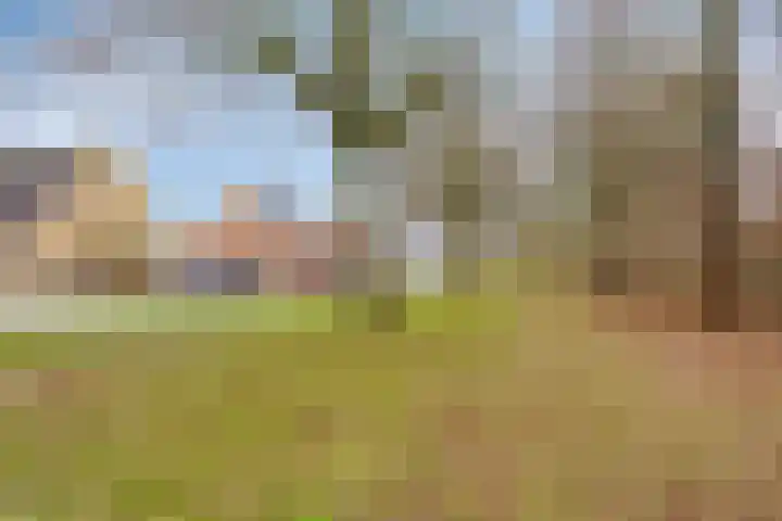Saltshof 3252 Wijchen thumbnail 36