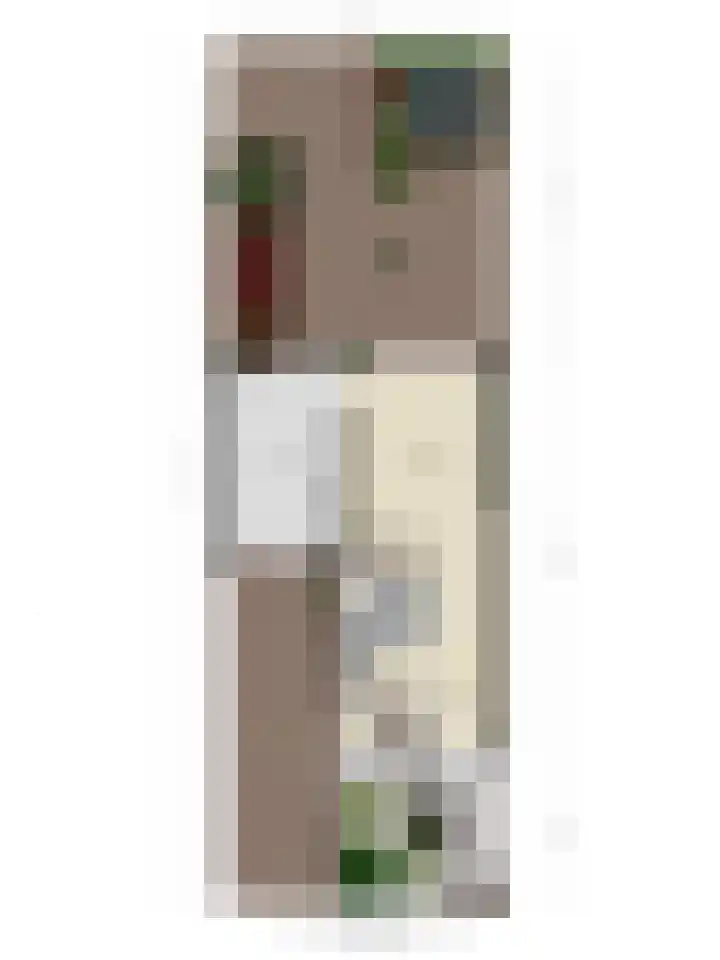 Saltshof 3252 Wijchen thumbnail 38