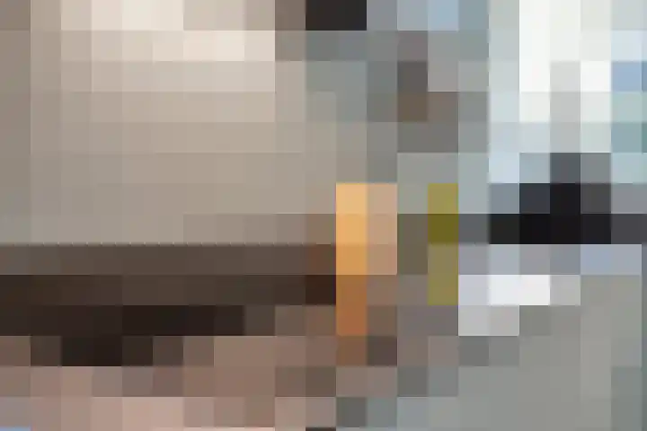 Saltshof 3316 Wijchen thumbnail 10