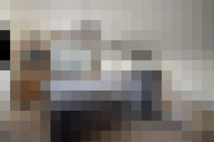 Saltshof 3316 Wijchen thumbnail 14