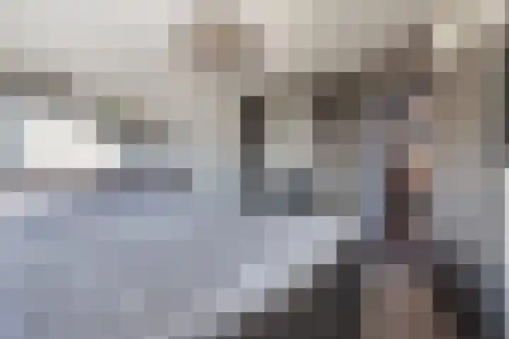 Saltshof 3316 Wijchen thumbnail 15