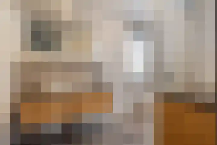 Saltshof 3316 Wijchen thumbnail 16