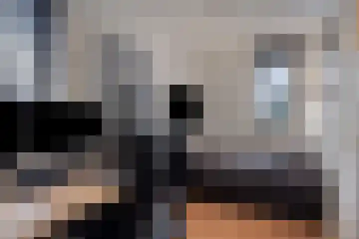 Saltshof 3316 Wijchen thumbnail 19